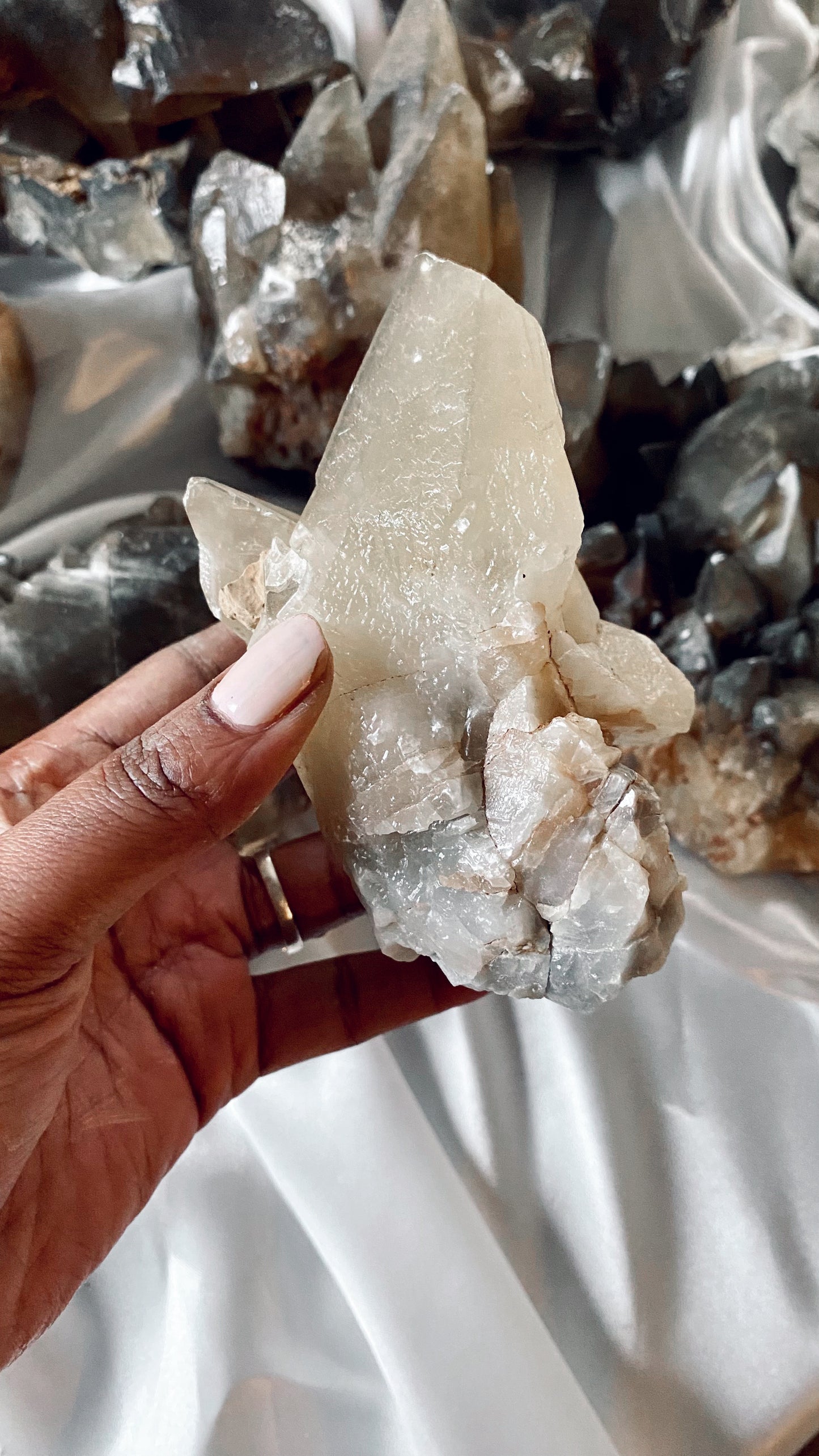 ANUBIS TOOTH Calcite (large)