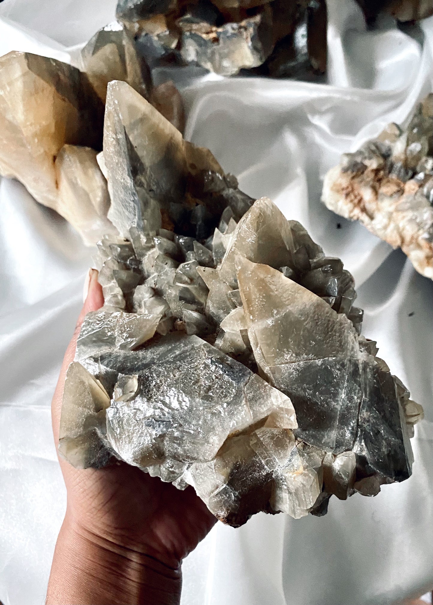 ANUBIS TOOTH Calcite (large)