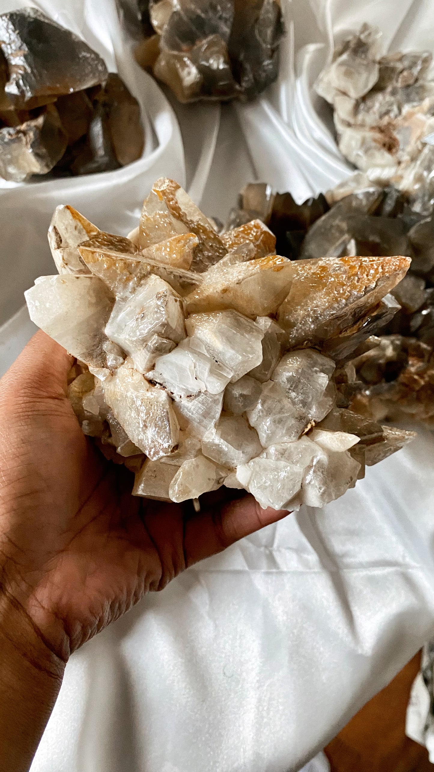 ANUBIS TOOTH Calcite (large)