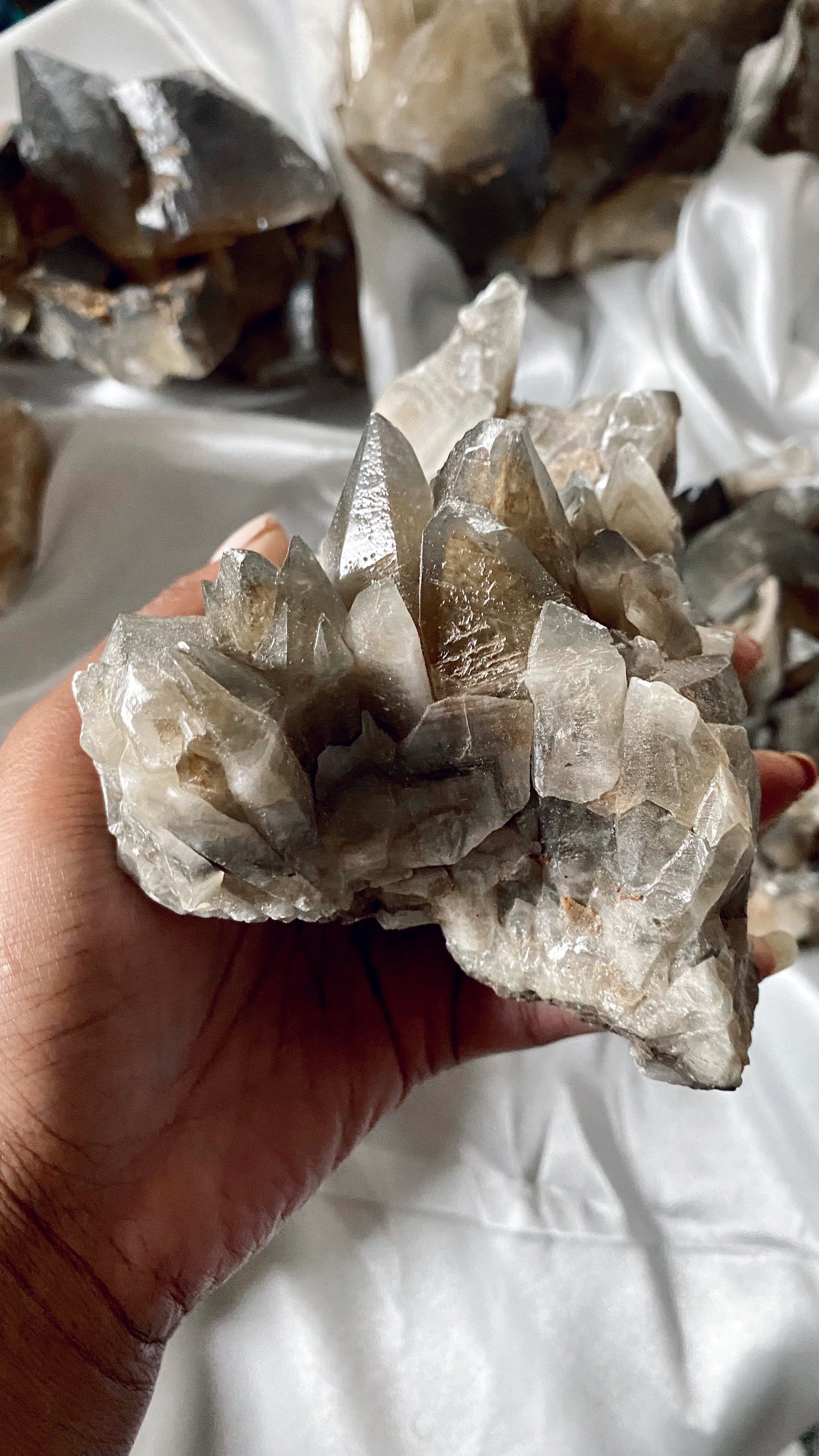 ANUBIS TOOTH Calcite (large)