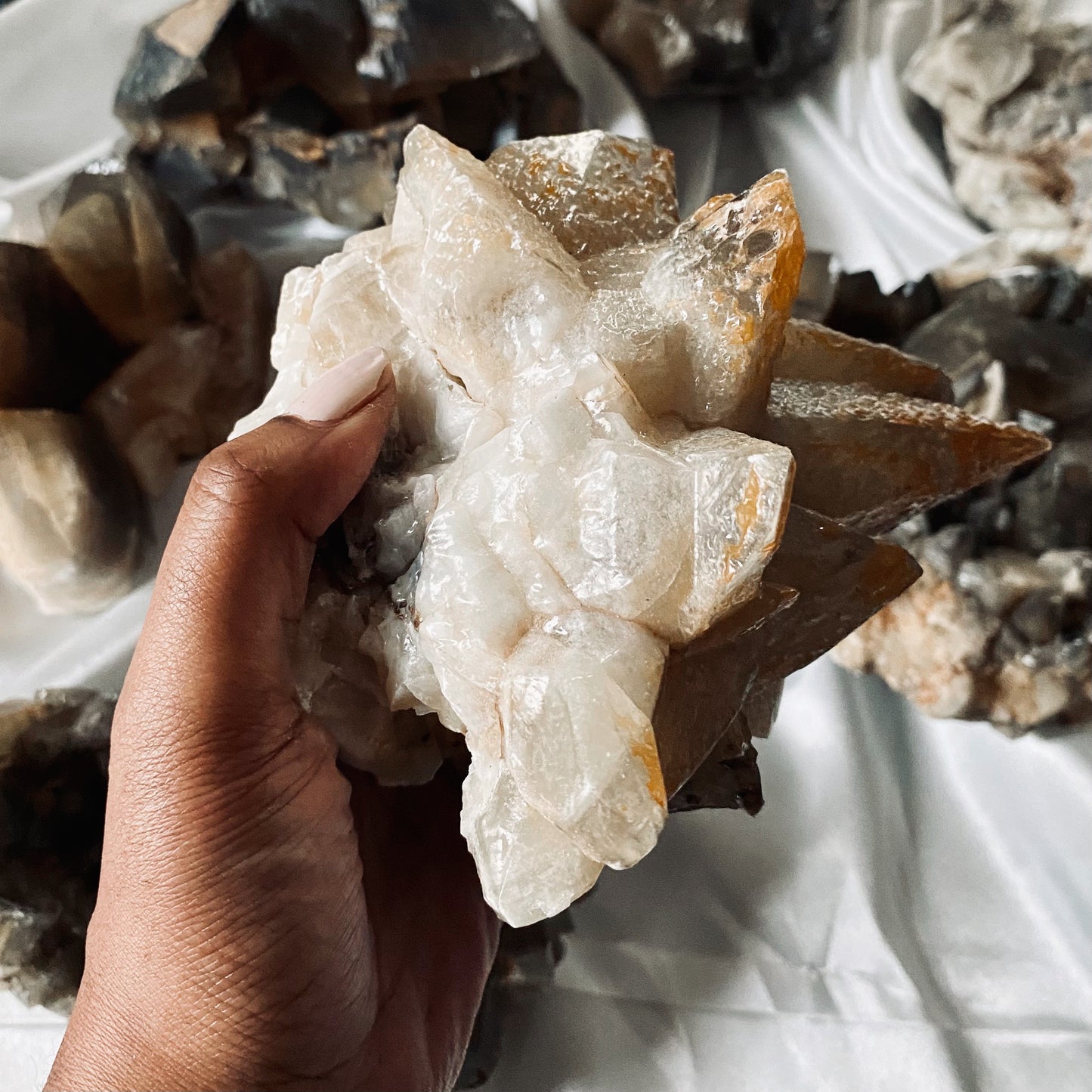 ANUBIS TOOTH Calcite (large)